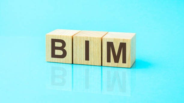 The Future of Construction Design: The Rise of BIM Modeling