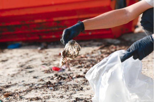 How Disposal Waste Should Be Sorted at Home Properly?