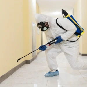 cleaning services