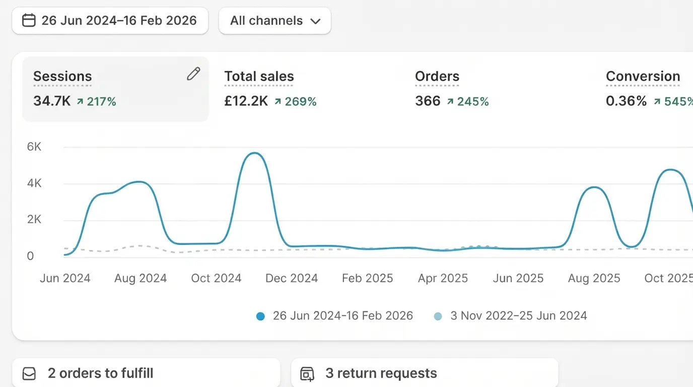 Revenue Growth for a New York E-Commerce Brand