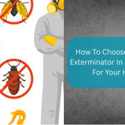 exterminator in Metairie, LA